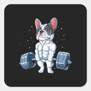 Französischer Bulldog Weightlift Funny Deadlift Gy Quadratischer Aufkleber