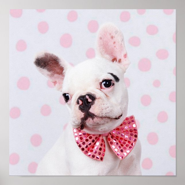 Französischer Bulldog Welpe mit Polka Docks Poster (Vorne)