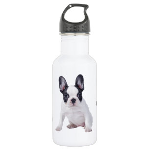 Französischer Bulldog-Welpe Trinkflasche