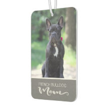 Französischer Bulldogge bringt das Bild Ihres Hund