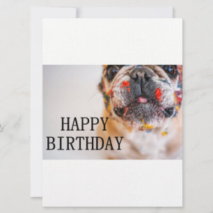 Französischer Bulldogge Geburtstag Einladung