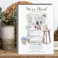 Französischer Bulldoghund Wir haben uns bewegende 