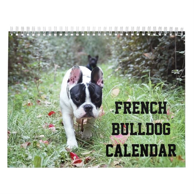 Französischer Bulldogkalender mit Ihren Fotos Kalender (Titelbild)