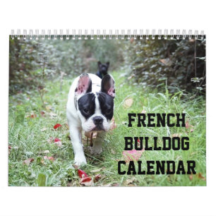 Französischer Bulldogkalender mit Ihren Fotos Kalender