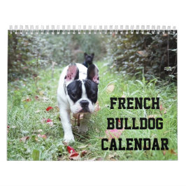 Französischer Bulldogkalender mit Ihren Fotos Kalender