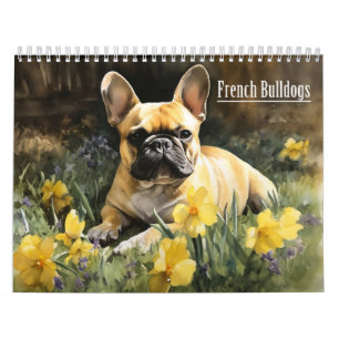 Französischer Bulldogs-Kalender, jedes Jahr Kalender
