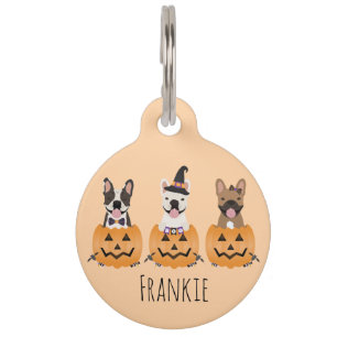 Französischer Bulldogs Trick oder Treat Pumpkin Haustiermarke