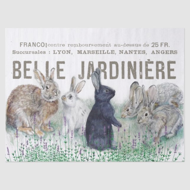 Französischer Garten Vintag Bunny Rabbit Decoupage Seidenpapier (Vorderseite)