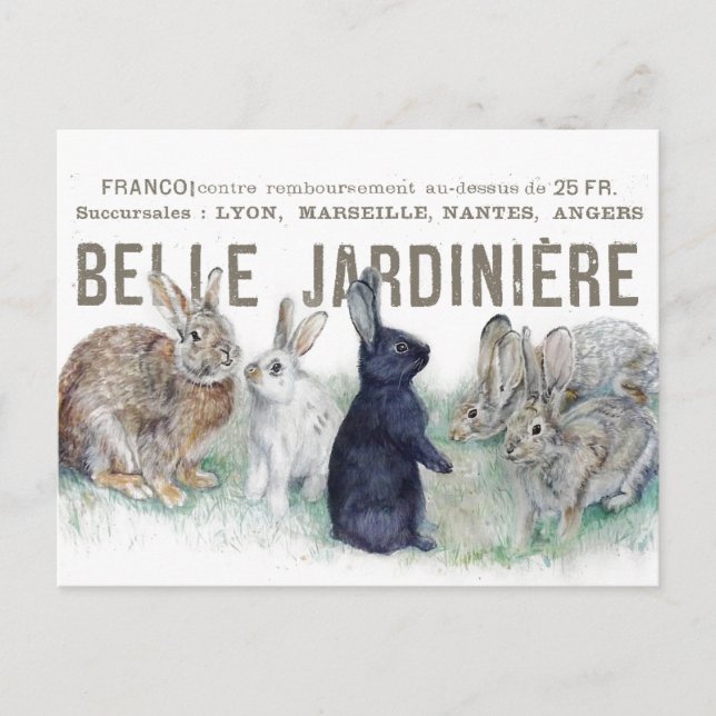 Französischer Garten Vintag Bunny Rabbit Osterfrüh Postkarte (Vorderseite)