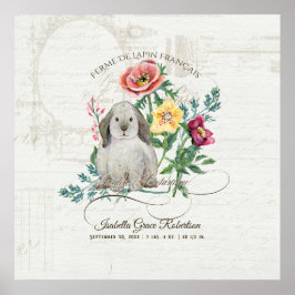 Französischer Kaninchenbauernhof Vintag Babyname i Poster