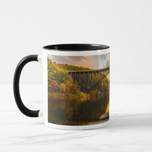 Französischer König Bridge im Fall Tasse