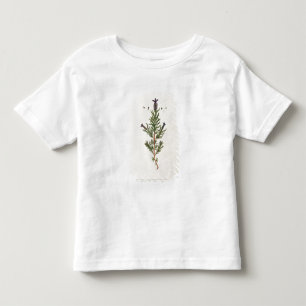 Französischer Lavendel, überziehen 241 von 'eine Kleinkind T-shirt