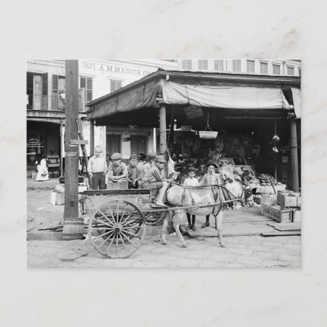 Französischer Markt, New Orleans, 1910 Postkarte (Vorderseite)