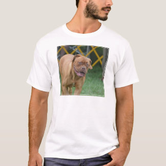 Französischer Mastiff-Hund T-Shirt