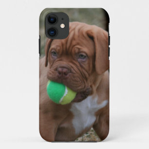 Französischer Mastiff-Welpe iPhone 11 Hülle