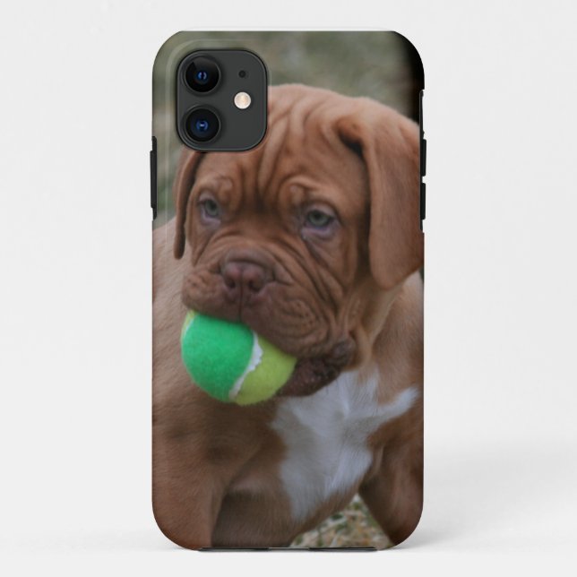 Französischer Mastiff-Welpe Case-Mate iPhone Hülle (Rückseite)