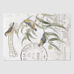 Französischer Poststempel Vintage Vogel Zweig Deco Seidenpapier