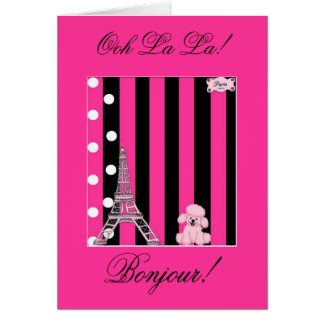 Französischer Pudel