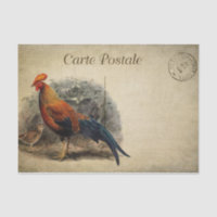 Französischer Stil Carte Postale Rooster