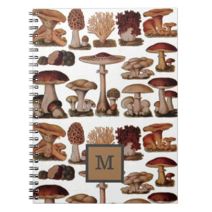 französischer vintage-pilz-wald botanisch notizblock