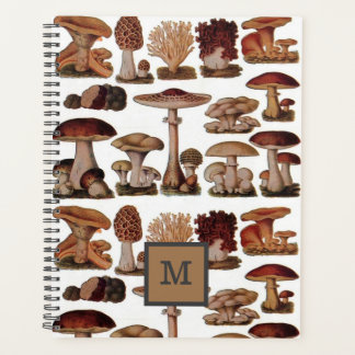 französischer vintage-wald botanischer Pilz Planer