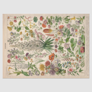 Französisches botanisches Fleurs-Seidenpapier Seidenpapier