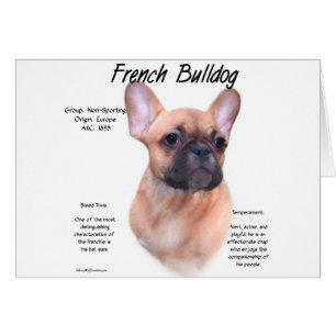Französisches Bulldog-Geschichtsdesign