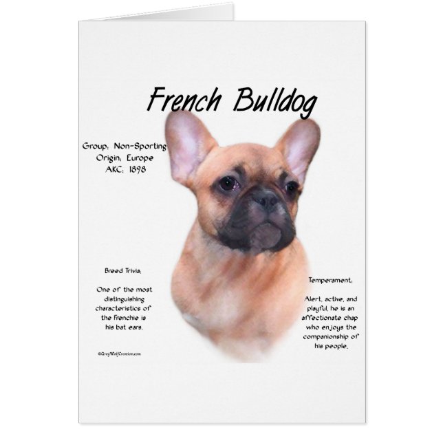 Französisches Bulldog-Geschichtsdesign (Vorne)