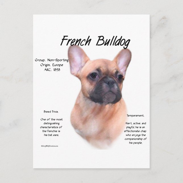 Französisches Bulldog-Geschichtsdesign Postkarte (Vorderseite)