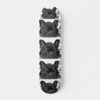 Französisches Bulldog-Skateboard Skateboard