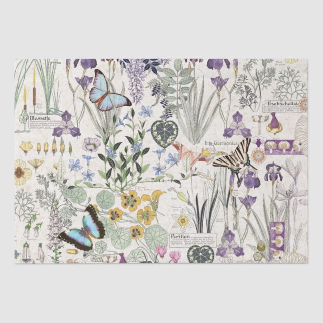 Französisches Kunst Nouveau Seidenpapier (Vorderseite)