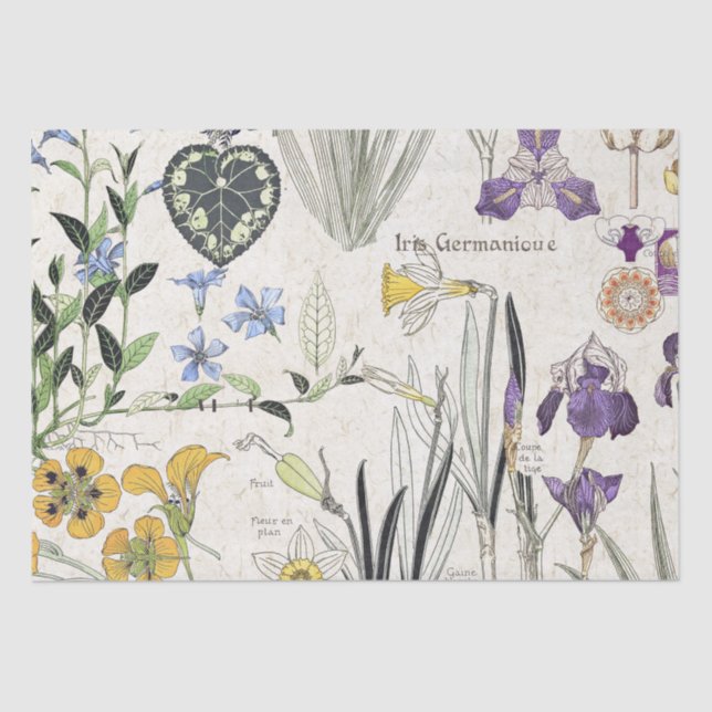 Französisches Kunst Nouveau Seidenpapier (Vorderseite)