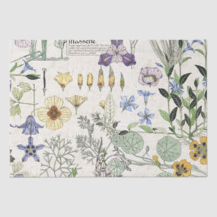 Französisches Kunst Nouveau Seidenpapier