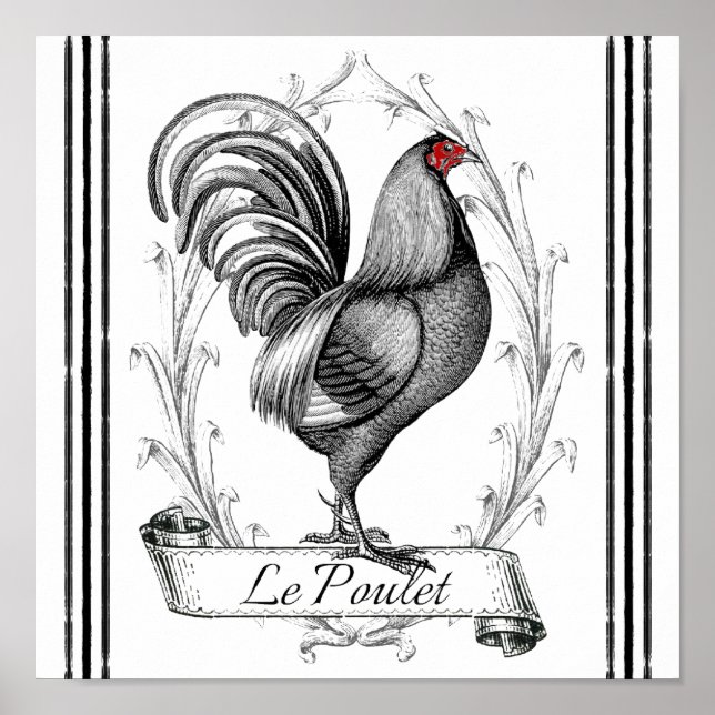 Französisches Rooster Le Poulet Poster (Vorne)