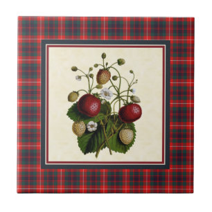 Fraser of Lovat Moderne Tartan mit Erdbeere Fliese