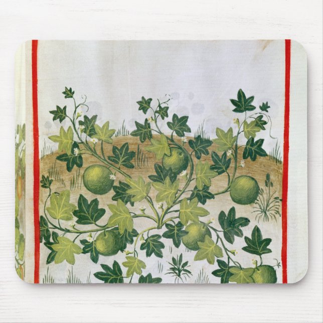 Frau 3054 Melonen fol.20, von 'Tacuinum Sanitatis Mousepad (Vorne)
