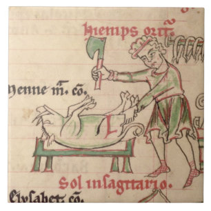 Frau 54. f.6r November: Das Schwein, von einem Fliese