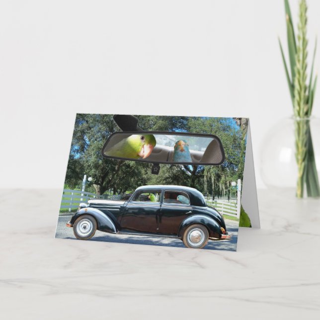 Frau Daisy Parrotlet Vogelgrüßkarte Karte (Vorderseite)