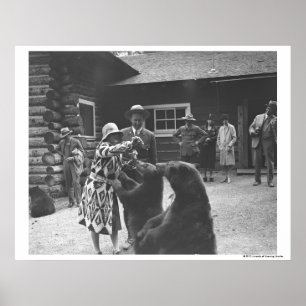 Frau, die Bären füttert Poster