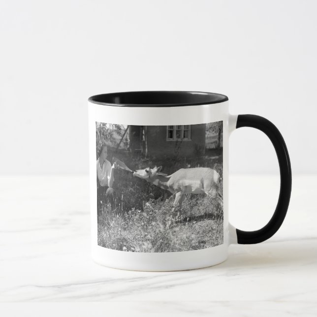 Frau, die eine Antilope Flasche-füttert Tasse (Rechts)