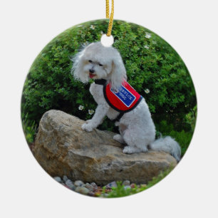 Frau Dolly MaltiPoo Keramik Ornament