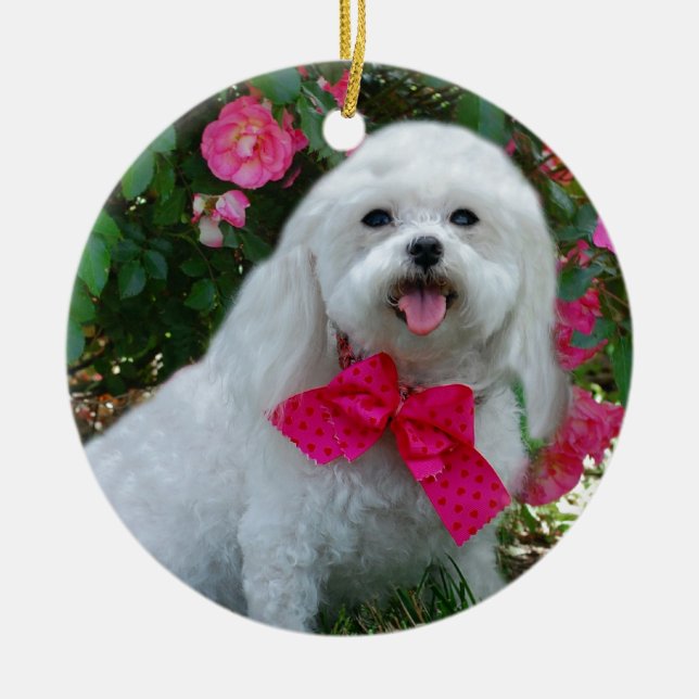 Frau Dolly MaltiPoo Keramikornament (Vorne)