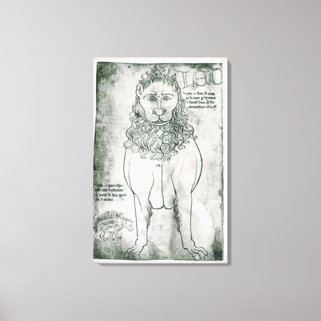 Frau Fr 19093 fol.24v Lion und Porcupine Leinwanddruck (Vorderseite)