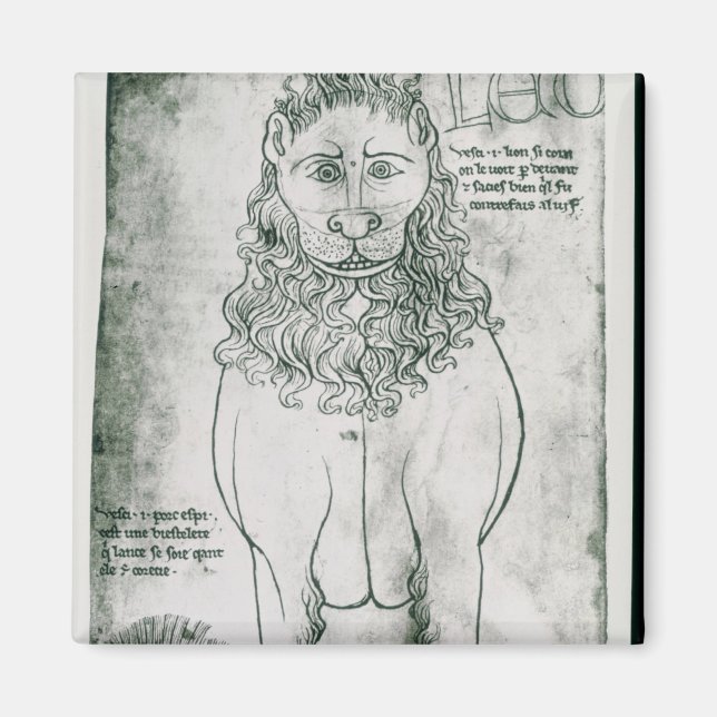 Frau Fr 19093 fol.24v Lion und Porcupine Magnet (Vorne)