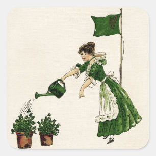 Frau & getopfte Shamrocks Vintage St. Patrick's Da Quadratischer Aufkleber