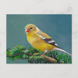 Frau Goldfinch Bird Art Postcard Postkarte