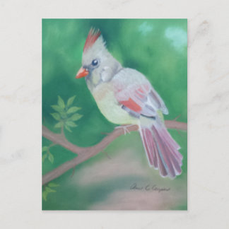 Frau Kardinal Postkarte