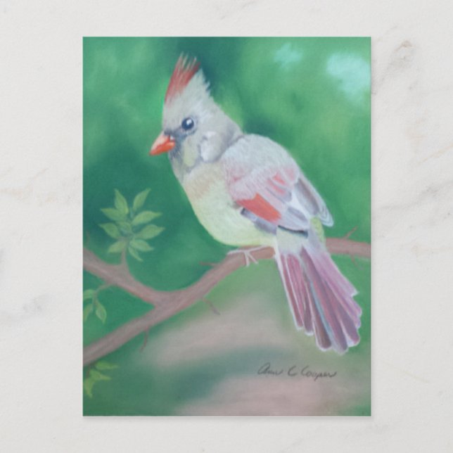 Frau Kardinal Postkarte (Vorderseite)