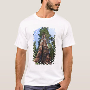 Frau macht Videoaufnahme am Fuße einer riesigen Se T-Shirt