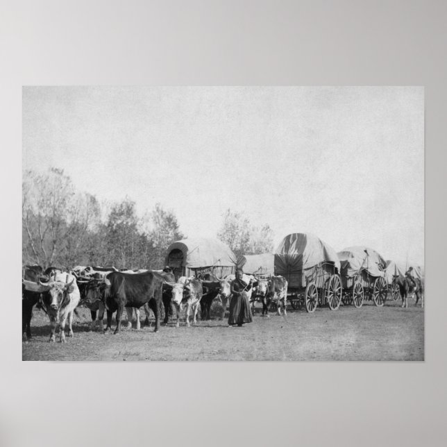 Frau mit Ox Train hält ein whip-Foto Poster (Vorne)